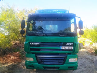 Daf Cf