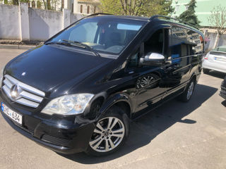 Mercedes Viano