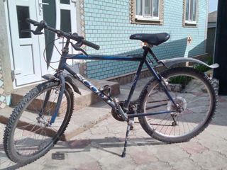 Bicicleta foto 1