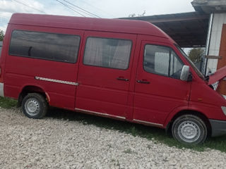 Pese sprinter foto 2