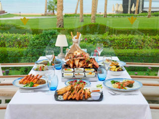 Egypt! Rixos Premium Seagate 5*! Din 22.08 - 5 nopti! foto 7