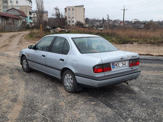 Nissan Primera foto 4