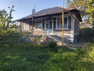 Casa trainica Truseni. foto 2