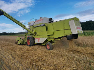 Claas foto 4