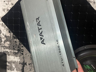 Avatar 1500w foto 2