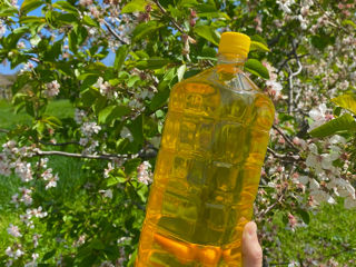 Vindem ulei de floarea soarelui presat la rece, rafinat, filtrat, 100% natural. foto 4