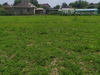 Urgent se vinde casă batrânească satul pârâta raionul dubăsari foto 7