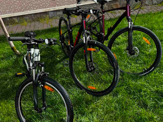 Se vind 3 biciclete penru familie GIANT in stare ca noi. foto 3