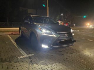 Lexus NX Series foto 5