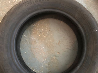 GoodYear 175/65R15 foto 2