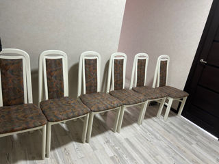 6 scaune din lemn masiv