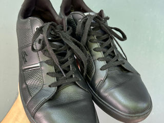 Lacoste shoes foto 2