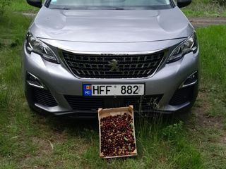 Peugeot 5008 foto 2