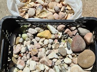 Ракушки и камни для аквариума - 150 лей