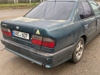 Nissan Primera