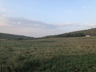 Teren agricol 3,7 ha,   mun. Chisinau, 4 km, linga s.  Bacioi. Investitia corecta a banilor DVS foto 8