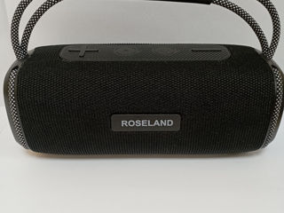 Roseland RS-510 , 260 lei