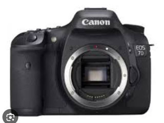 canon 7d body