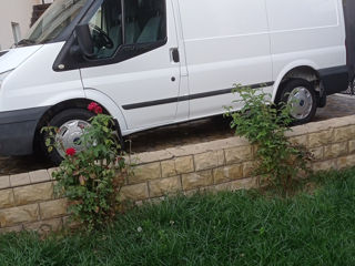 Ford Transit foto 9