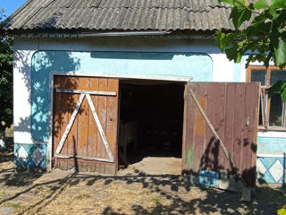 Продам дом с участком в Приднестровье foto 10