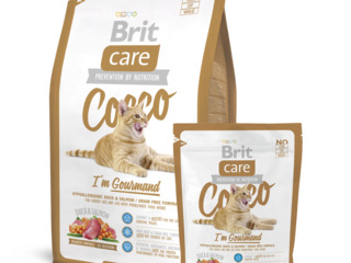 Доставка корма для кошек фирмы brit foto 3