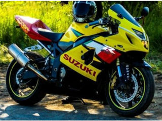 Suzuki GXR-R K5  egoist