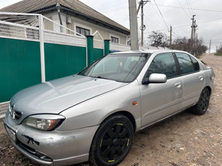 Nissan Primera foto 2