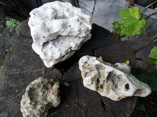 камни для аквариума foto 5