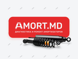 Ремонт и диагностика амортизаторов всех видов от Amort.md