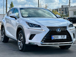 Lexus NX Series