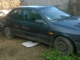 Nissan Primera foto 7