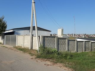 Se vinde(chirie) frigider industrial in mun.Chișinău com Bacioi.Amplasare perfecta. foto 9