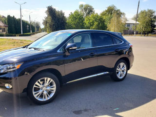 Lexus RX Series