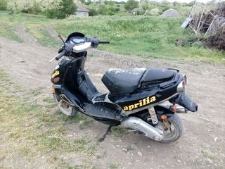 Aprilia sr50 foto 2