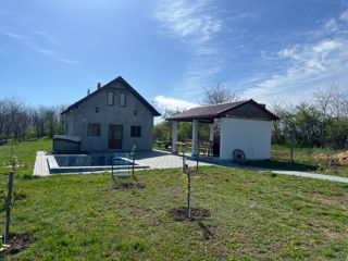 Foisor foto 3