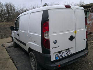 Fiat Doblo Cargo foto 4