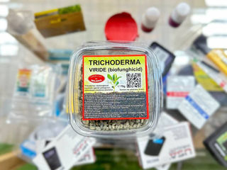 Триходерма Вериде, триходерма стимулирует рост и укрепление иммунной системы растений