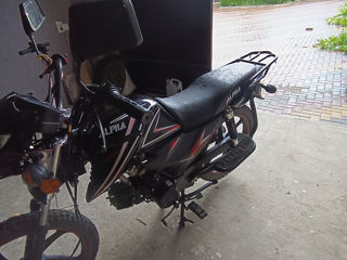 Alpha Moto Alpha 110 foto 5