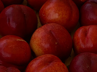 Продажа нектаринов и персиков оптом foto 8