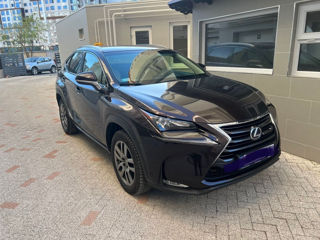 Lexus NX Series foto 5