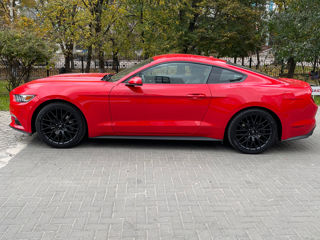 Ford Mustang foto 6