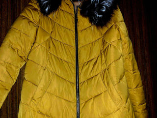 Продается женская куртка, Scurta femeeasca