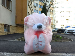 Ursuleți gigant 170 cm cu I Love You. Livrarea gratuită în Chișinău. livrăm rapid toată Moldova. foto 14