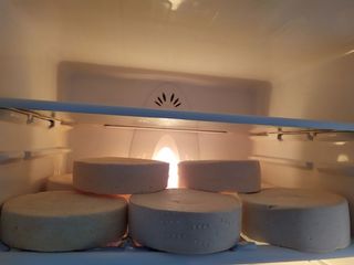Предлагаем вам два вида сыра(российски и маасдам). А также, сгущёнку (варенку) из козьего молока. foto 7