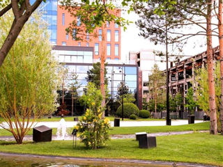 oficii in Digital Park