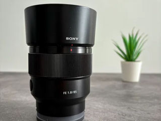 Sony FE 85 мм f/1,8 foto 4