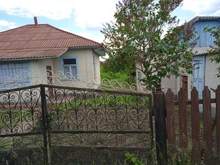 Se vinde casa in satul Gribova r-l Drochia foto 4