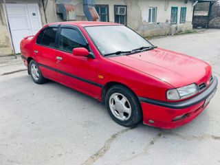 Nissan Primera foto 3