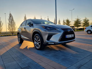 Lexus NX Series foto 8