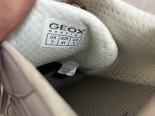 Geox foto 3